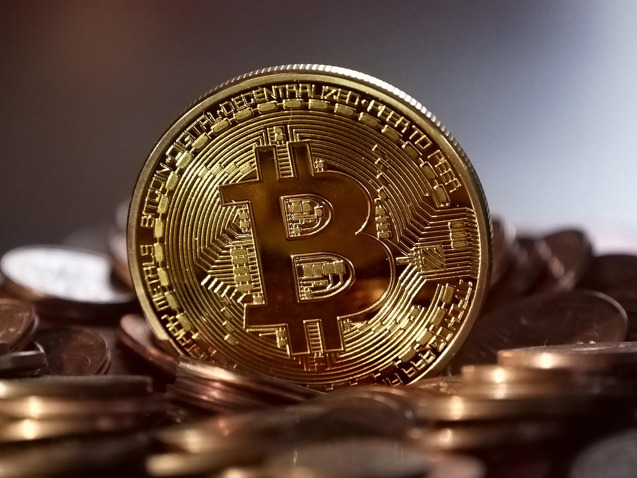 Meanwhile比特币寿险获4000万美元融资！Framework Ventures与Fulgur Ventures共同领投